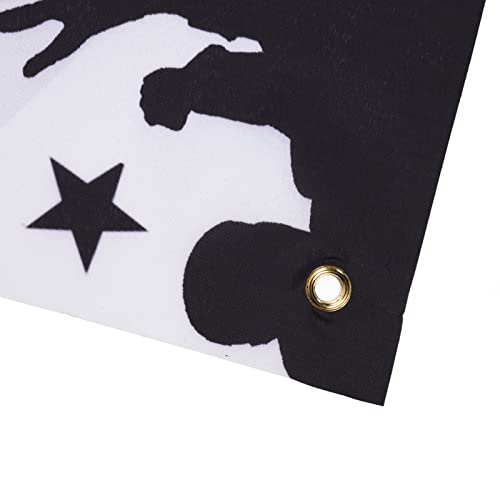 Banner de Formatura, Impressão Digital de Alta Resolução, Cores Vivas, 71 X 38 pol., Tecido de Polié