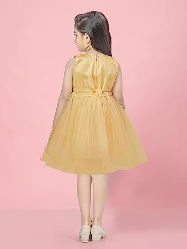 Image of Aarika Girls Fawn Color Net Frock
