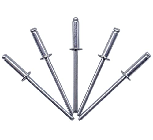 Confezione da 100 rivetti ciechi 3,2 x 12 mm