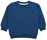 TupTam Mädchen Jungen Unisex Sweatshirt Bio- Baumwolle, Farbe: Stahlblau Uni, Größe: 98/104