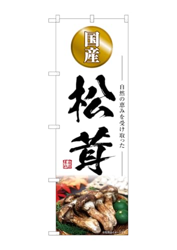 ̂ڂ艮H[(Noboriyakobo) SNB-7429  Y W600×H1800mm 1  OO |W  ɐ 󒍐Yi