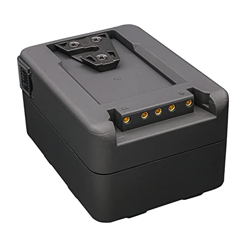 Image of Kastar 2-Pack Battery and Dual D-Tap Charger Replacement for DSR-450WSP DSR-450WSPL DSR-50 DSR-50P (Portable Recorder) DSR-500WS DSR-500WSL DSR-500WSP DSR-500WSPL DSR-570WS DSR-570WSL Camera