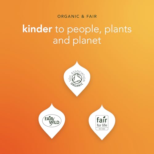 Pukka Herbal Teas Tea - Organic - Three Ginger - 20 Bags - Case of 6