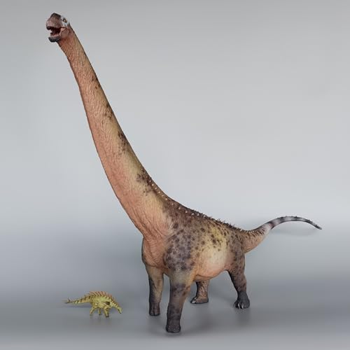 Dinosaure argentin AMITD 1:35 décoration salon et bureau Couleur B - 5