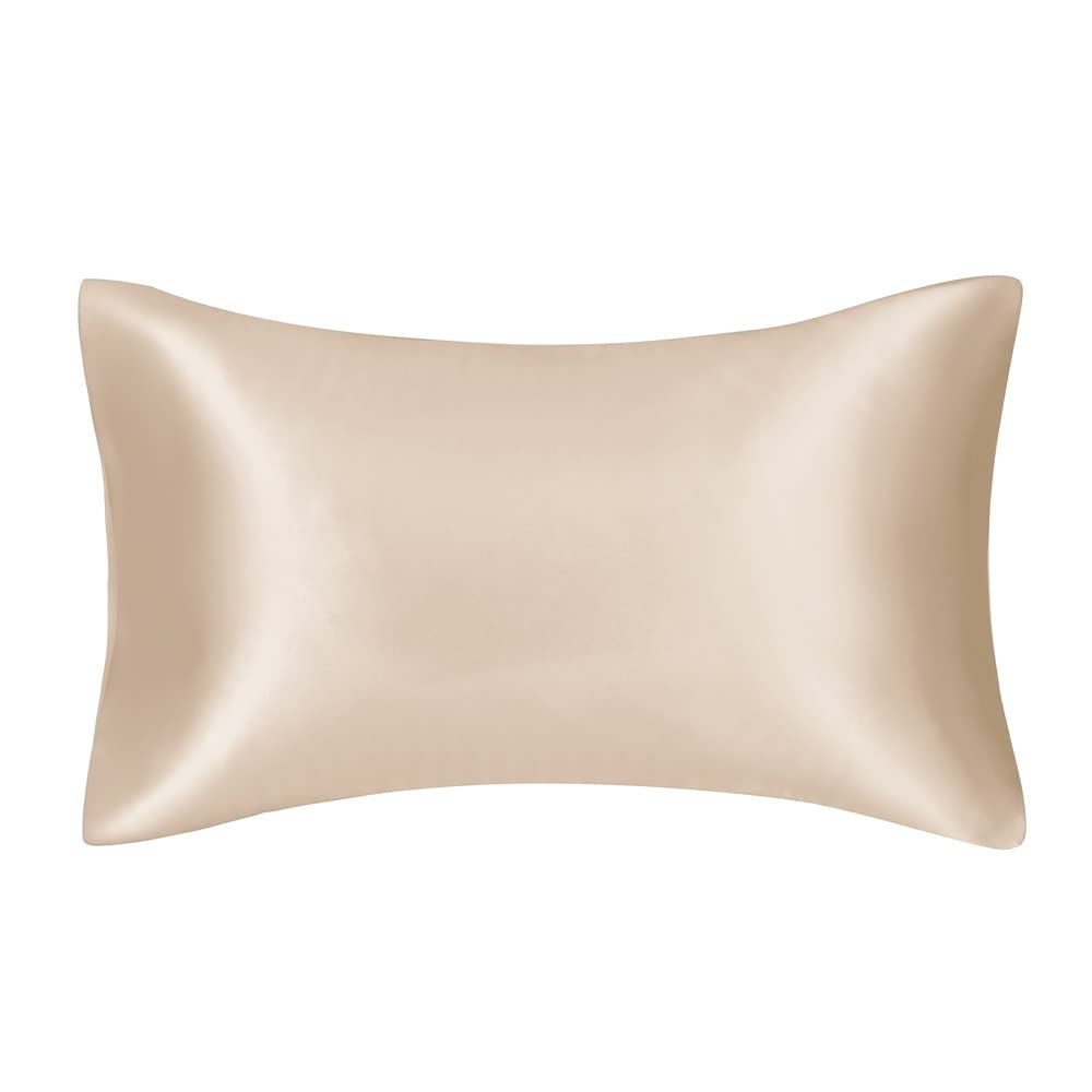 LYHYDMA Silk Pillowcase Silk Satin Pillowcase for Hair and Skin Silk Pillowcase Slip Cooling Satin Pillow Covers with Envelope Closure(Champagne,Toddler (14x20inch))