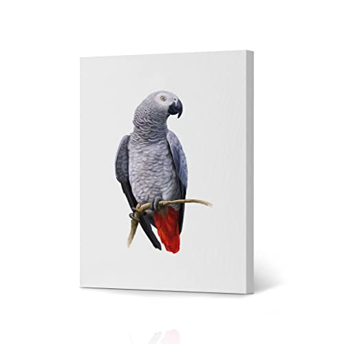 HB Art Design African Gray Parrot Bird Paint Exotic Animal Canvas Wall Art Print Jungle Wildlife Office Living Room Bedroom Bathroom Kids Nursery Room Modern Home Decor Ready to Hang - 12x8