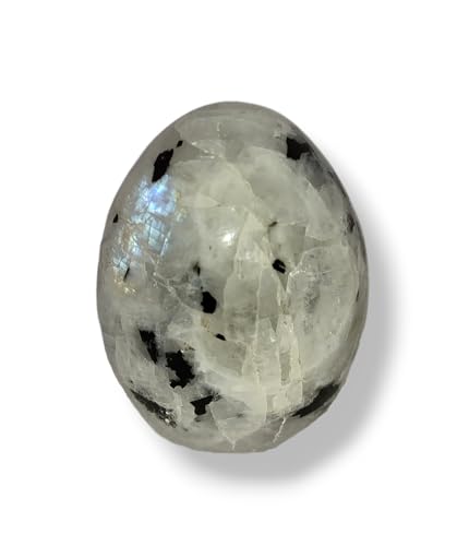 Arwacraft ���[���X�g�[�� �I�[�o���G�b�O | Tejas �W�F���X�g�[�����[���h-B0CHP7MCMRNAMZ