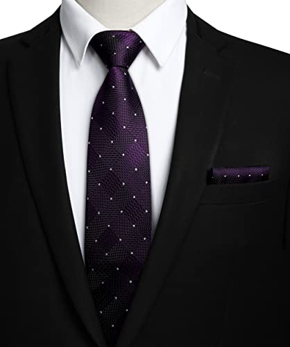 HISDERN Plaid Polka Dots Stripe Tie Handkerchief Woven Classic Men's Necktie & Pocket Square Set - - 8.5 cm / 3.4 inches in Width