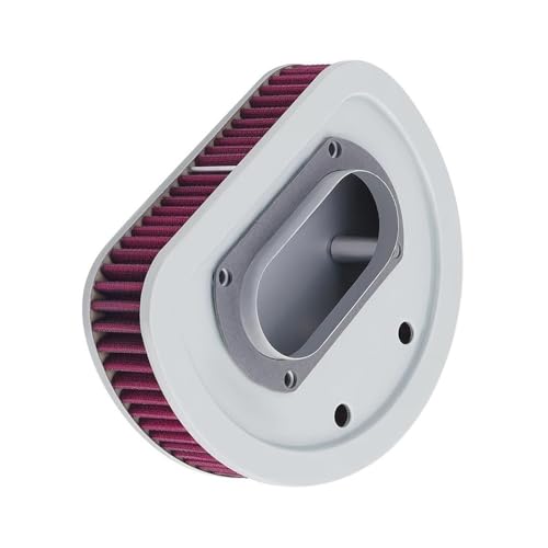 Limpiador de filtros de moto para modelos EFI FLHTCI, FLSTCI y FLHRCI