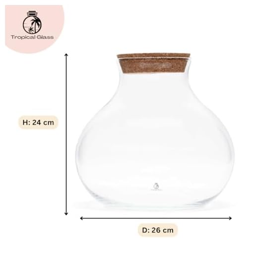 Elegant Glass Terrarium with Cork Lid