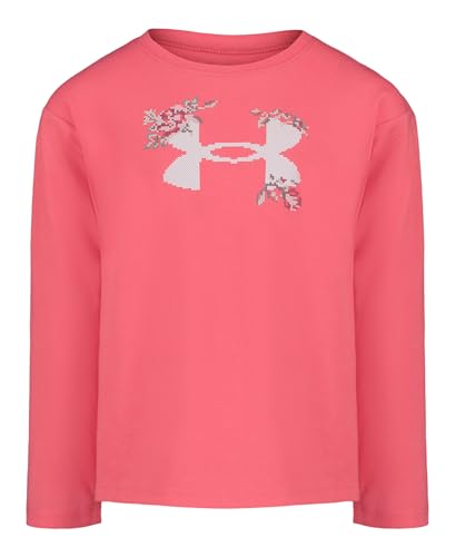 Image of Under Armour Kids MTN Range Logo Tee (Big Kid)
