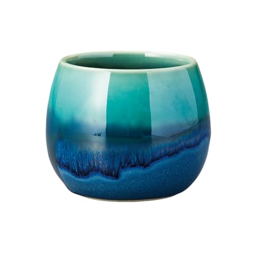 G[lbg(Ale-net)  q 璃q 7.5×6cm 140cc Ȃ܂KX֋ʂ̂ H@Ή dqWΉ Z {