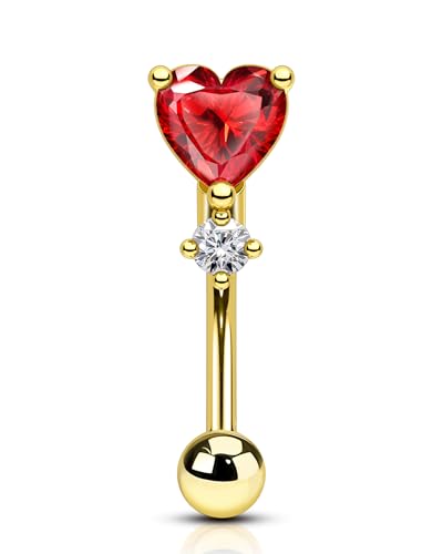 COCHARM Red Heart Rook Earrings, 16G Rook Eyebrow Jewelry, Stainless Steel Vertical labret stud