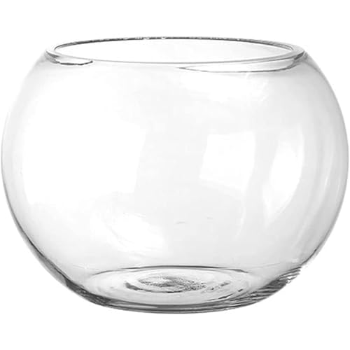 Vzfv 金魚鉢 ガラス水槽 丸型 25cm アクアリウム/テラリウム/水培 大容量 透明ボウル 花瓶・フラワーベース おしゃれ 卓上 メダカ・ベタ・亀 飼育容器