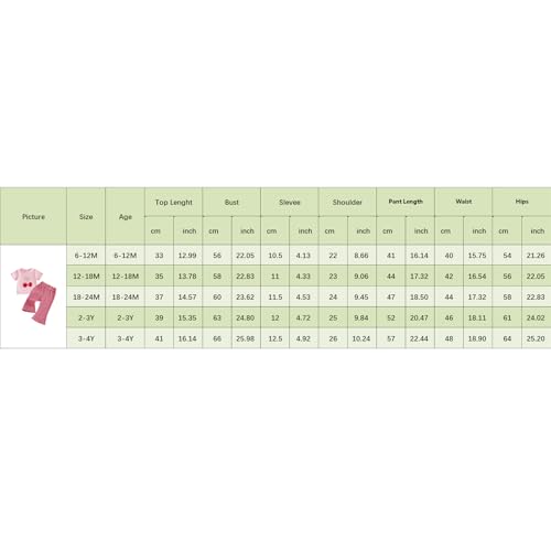 Image of Ayalinggo Baby Girl Summer Outfits Short Sleeve Lettuce Trim Floral Tops + Shorts Set Infant Clothes