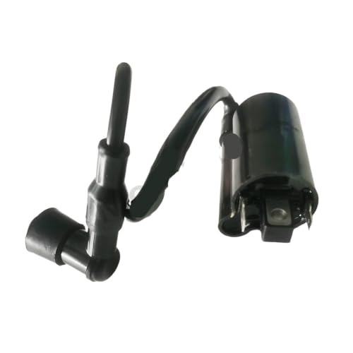 Bobine d'allumage contre démarrage difficile Ninja 250r EX250