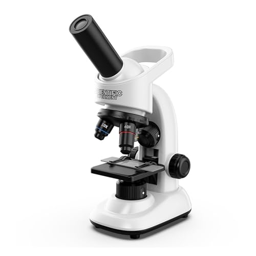 qpLbg |[^uPጰ 40{`1600{̔{Ɗe푀c[