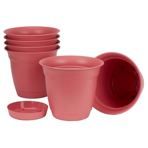 HC Companies 8" Rose Planters (Pack of 6) Cover