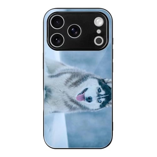 iPhone17Pro�p�P�[�X �n�X�L�[ �� �����`���� �����K���X ������� �X�}�z�P�[�X �A�C�t�H��17Pro�p�P�[�X ���΂ݖh�~