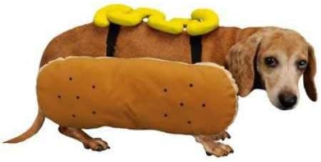 Otis and Claude Fetching Fashion Hot Diggity Dog Costume Mustard Medium