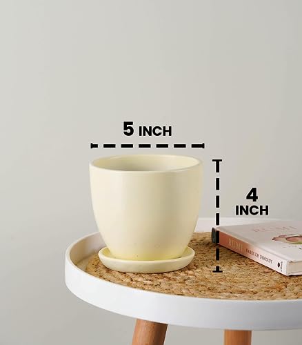 Image of Nurturing Green Set of 2 Modern Ivory White Ceramic Pots for Home & Indoor Decor | Ceramic Plant Pots (Size: 5 Inch Wide | Comes with Bottom Plate) - [Plants are not Included]