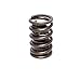 COMP Cams (925-1) 1.509" O.D. Dual Valve Spring