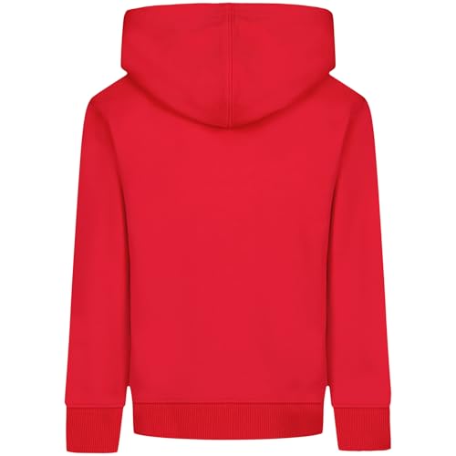 Under Armour Toddler Boys' Rival Printed Logo Hoodie2