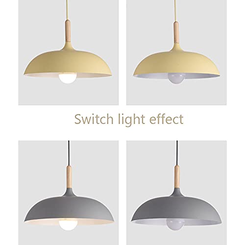 Lustre industriel couleur macaron moderne avec lampe suspendue simple - 5