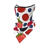 Winddichte Maske mit fallenden Reifen Himbeeren, Halswärmer, Winter-Motorrad-Gesichtsschutz