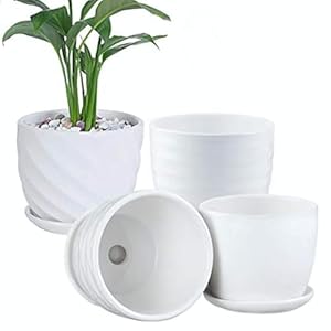 seebest01 Ceramiczne Doniczki Cylindryczne Zestaw 4 szt.