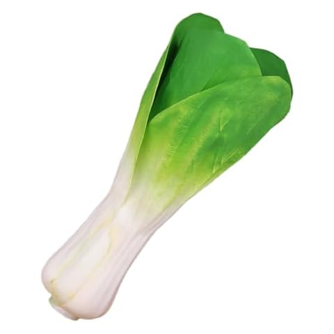 Légumes artificiels HUAJINGKEJI Cover