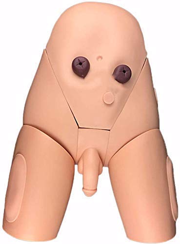 Modèle Simulateur Cathétérisme Homme Femme Ensemble Formateurs Cathétérisme Hommes Et Femmes