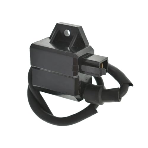 Bobina de encendido para solucionar fallos de arranque en tu quad LT80 2