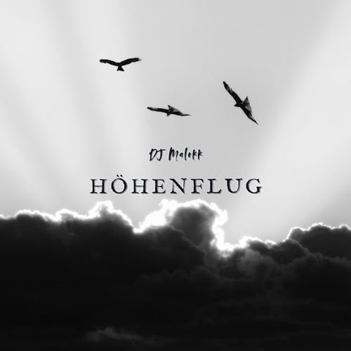 Höhenflug