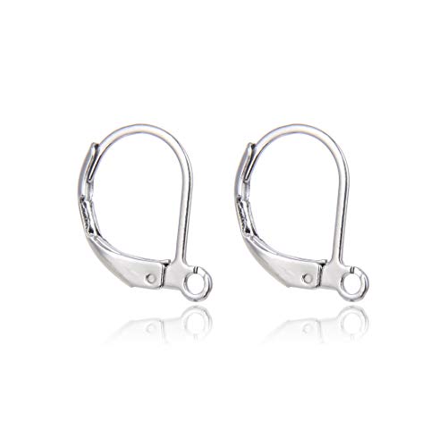 50Pcs Adabele 304 Grade Surgical Stainless Steel Hypoallergenic Earring Hooks Leverback Earwire 15Mm Long For Earrings Making Sjf193 #TOP1