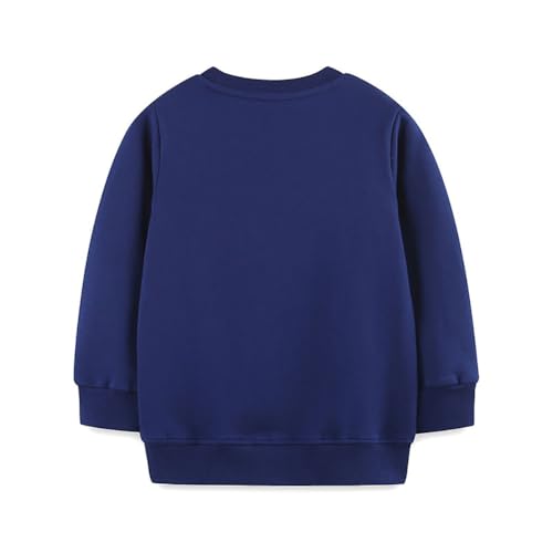Boys Sweatshirts Casual Sweatshirts Cotton Sweatshirts Long Sleeve T-shirts Crew Neck Cartoon Tops for Boys-2322