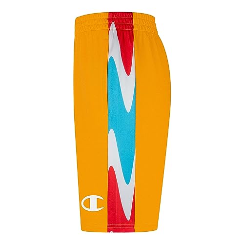 Champion Boy's Wavy Box Script Panel Shorts (Big Kids)2