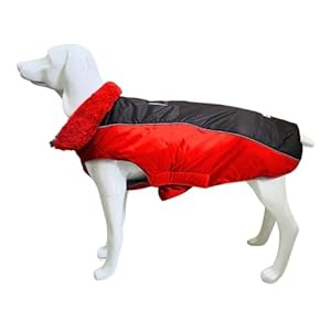 Pretty Paws Dog Winter Coat Jacket, Windproof, Waterproof, Light Weight, Washable | Wrap Around Velcro Enlock | Dog Winter Wear for Small, Medium, Large Dogs (Red, 22 Inch/Medium)