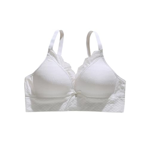 [SophroniaTerri] X WjAu mC[ Z { [X  Rbg KtBbg  _炩 z w uW[  Lk  ʊw 3izbN