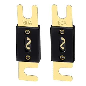 Heschen Portafusibili ANL 0/2/4 AWG Con Fusibile 30A Placcato Oro - 2 Pezzi Per Auto Audio