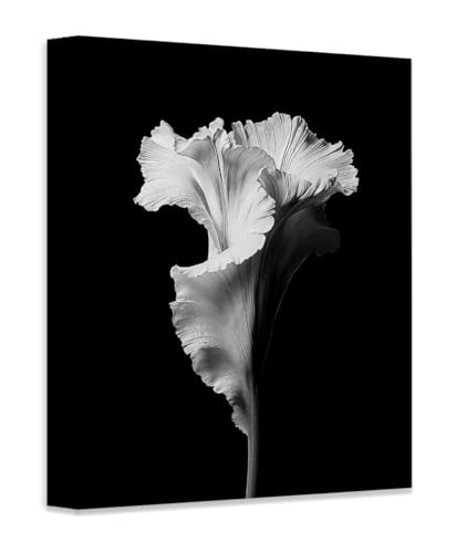 Black and White Flower Art 18x24 Canvas Poster, Minimalist Floral