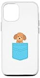 Poodle Cute Pet Dog Lover Owner