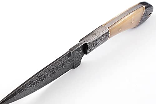 W Trading Custom Handmade Damascus Hunting Knife - Best Damascus Steel Blade Hunting Skinning Knife- Fixed Blade Camping, Survival Knife With Leather Sheath 2740 #TOP3
