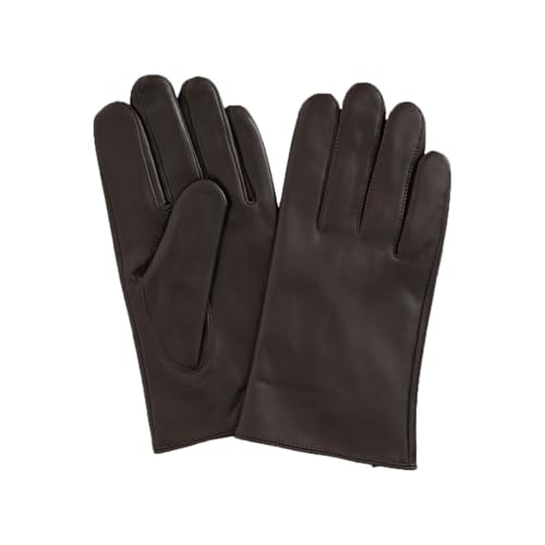 [TOKIOFA] yX}zΉzJV~100 Y  v U[O[u v {v rv U[ ~ rWlX h  jp mVv/`R[uE/Mn