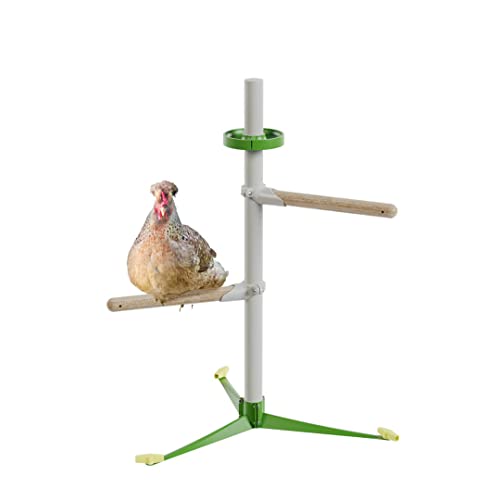 Image of Omlet Freestanding Chicken Perch | Sturdy Wooden Universal Roosting System | Exercise, Train and Treat Your Chickens! | Place Anywhere in Your Yard | Spring Chicken Kit