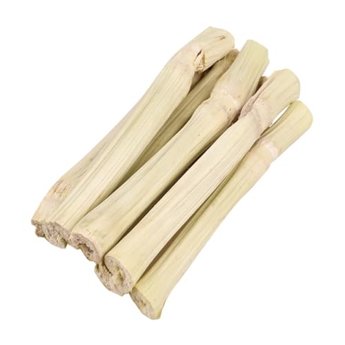 ROMISBABA r^~LxȎRfނ̃nX^[ ETMp|ނ _Ƃ XgX NȎ̐T|[g ̗Vѓ