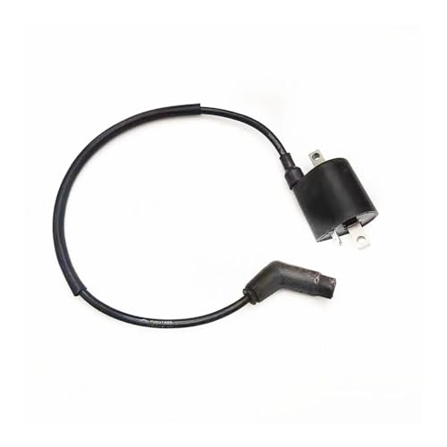 Bobina de encendido EFI para solucionar fallos de arranque en Quad LH 400