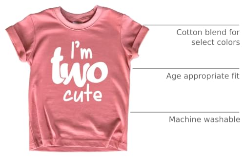 Image of 2nd Birthday Outfits for Toddler Girls im Two Cute Shirt Girl 2 Years Old Second Birthday