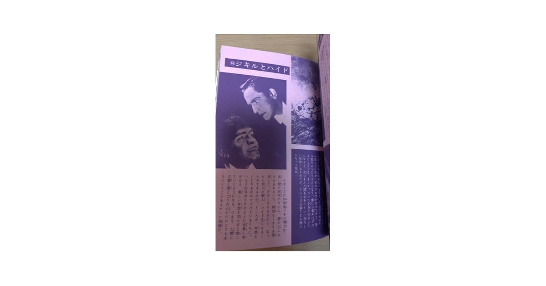 ふ*ゃ様 佐藤有文　『いちばんくわしい　世界妖怪図鑑』カバー付き　ジャガーバック ふ*ゃ様 佐藤有文 『いちばんくわしい 世界妖怪図鑑』カバー付き
