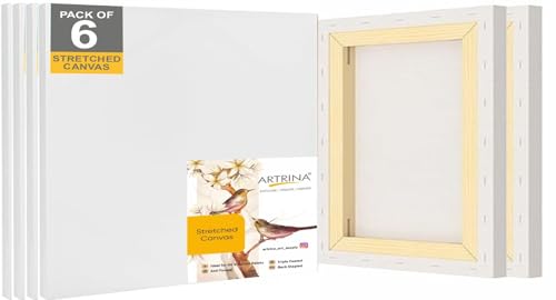 Image of Artist Standard Series 10 Oz (440 GSM) 100% Cotton Pre-Stretched Canvas with Wooden Frame 18x40 mm | Primed Canvas Stretched for Oil & Acrylic Painting 18 inch x 18 inch (45x45 cm), Pack of 6